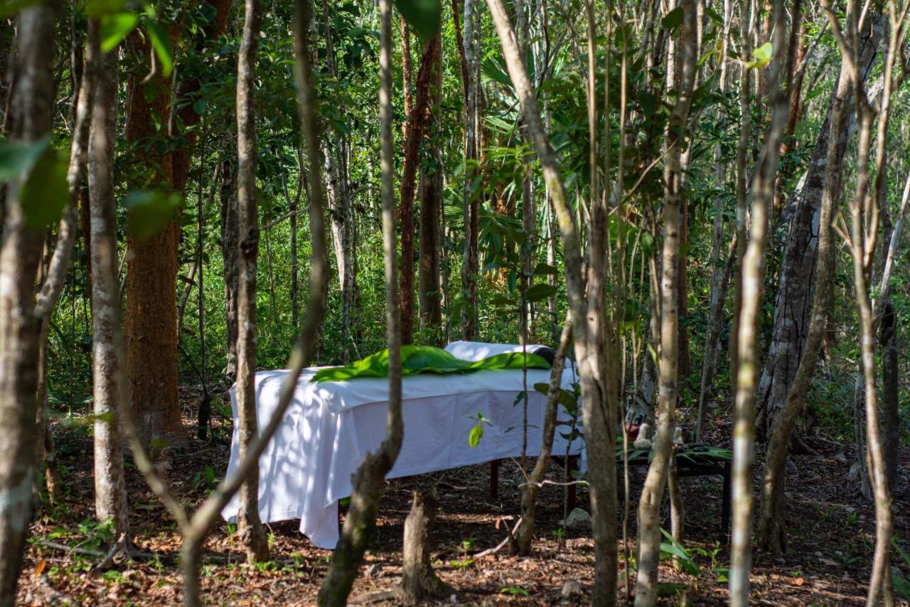 Aldea Coba An Escape Boutique Experience 호텔 외부 사진