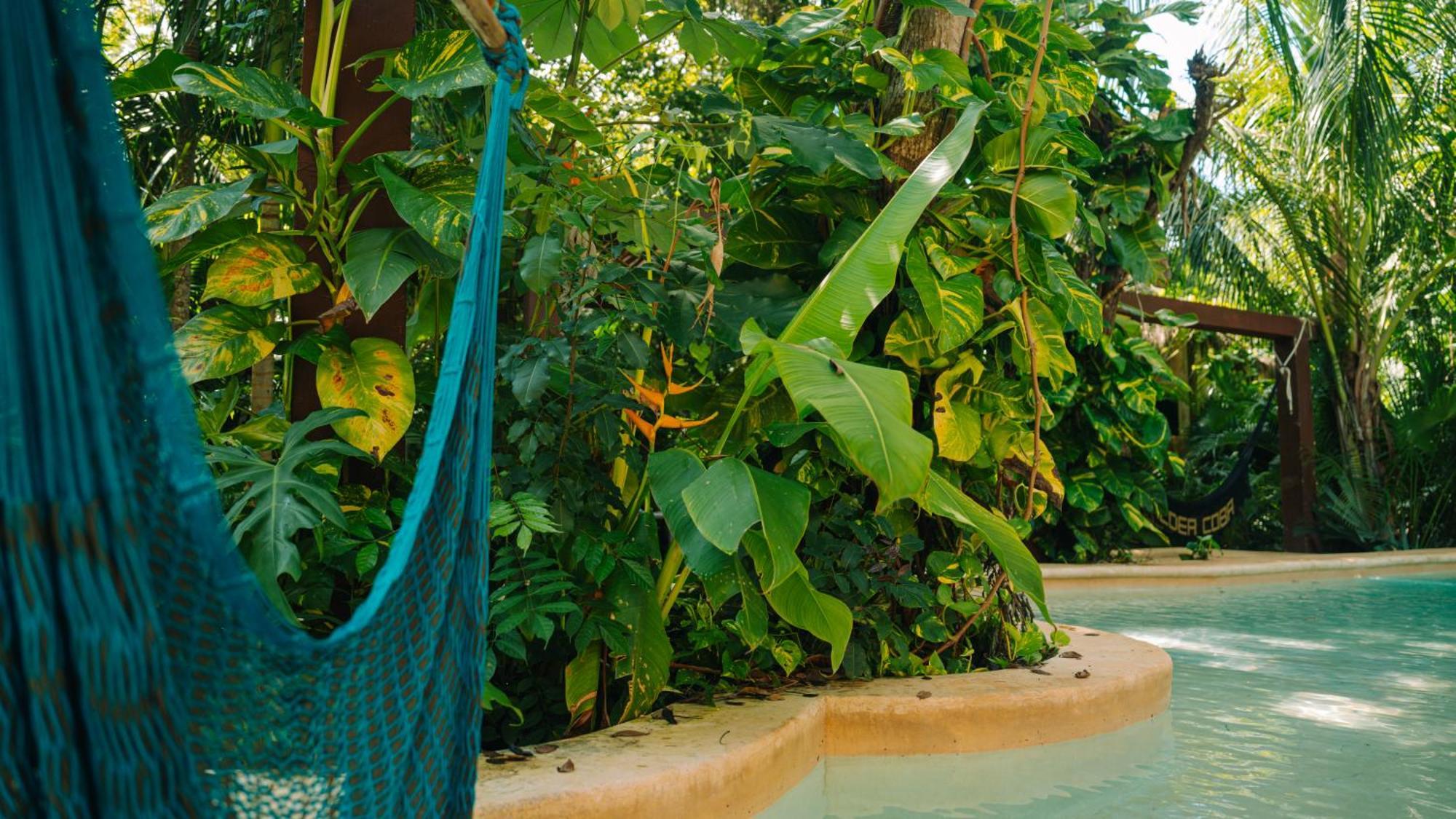 Aldea Coba An Escape Boutique Experience 호텔 외부 사진