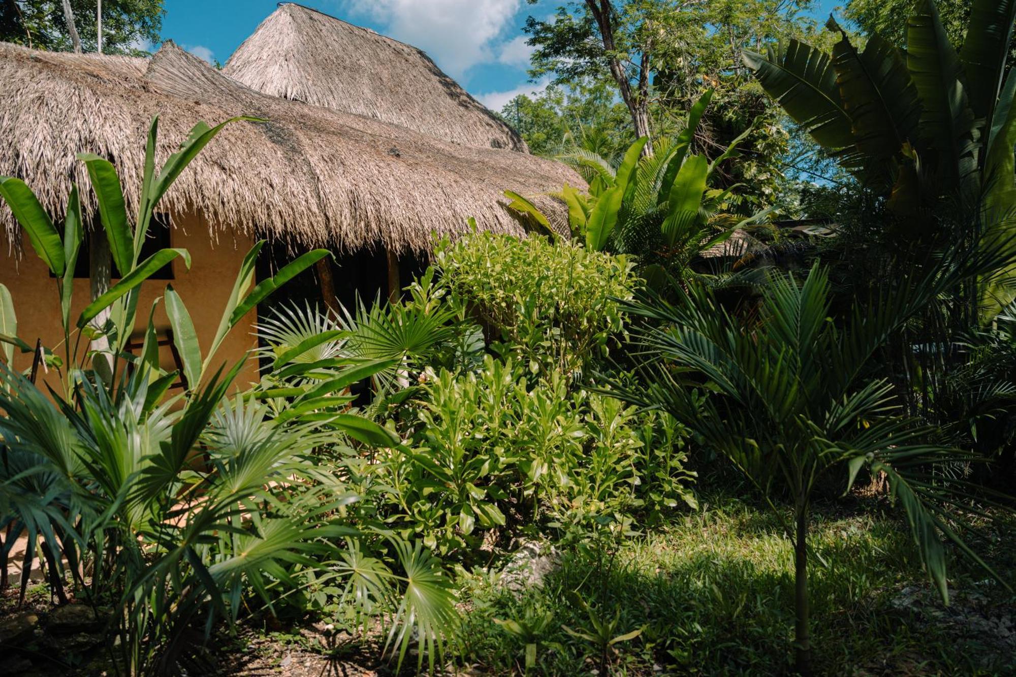 Aldea Coba An Escape Boutique Experience 호텔 객실 사진