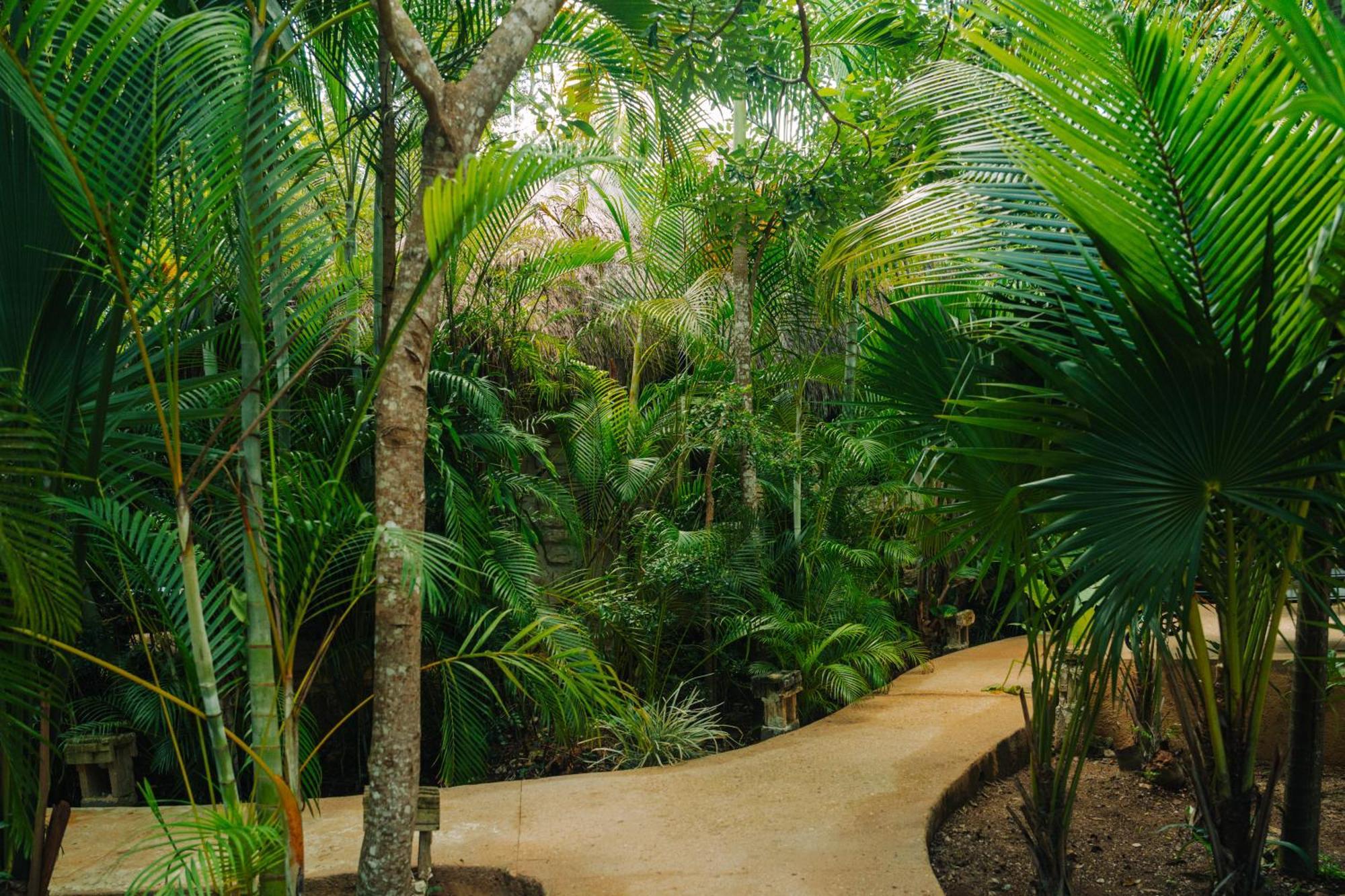 Aldea Coba An Escape Boutique Experience 호텔 객실 사진